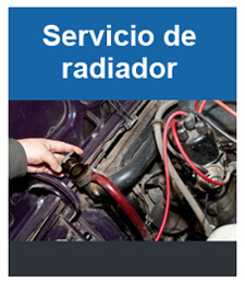 Servicio de Radiador